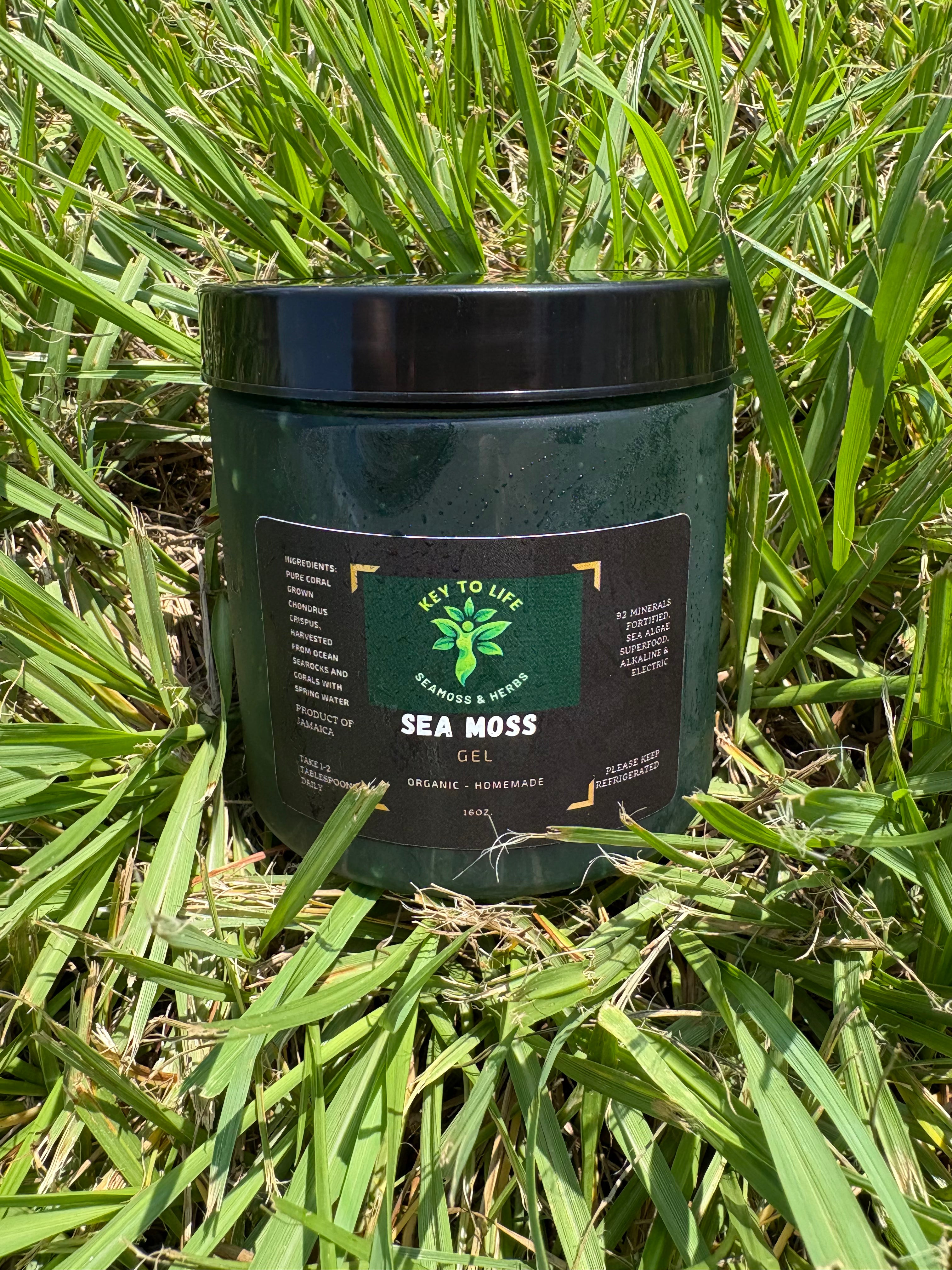 Chloropyll Sea Moss Gel